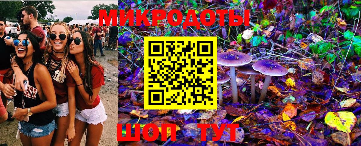 где продают наркотики  Вход с VPN  Менделеевск  Галлюциногенные грибы Psilocybine cubensis 