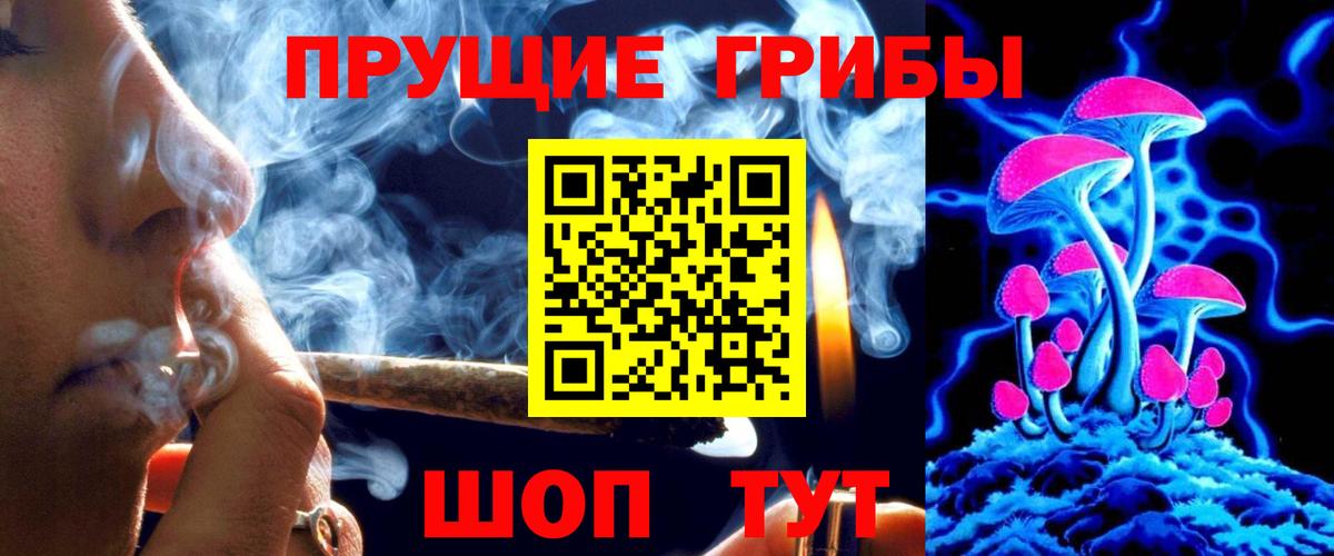 Псилоцибиновые грибы прущие грибы Менделеевск